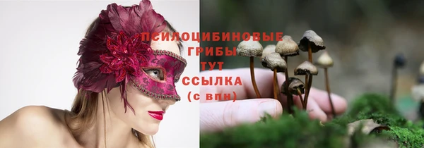 тгк Навашино