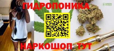 крисы Гусиноозёрск