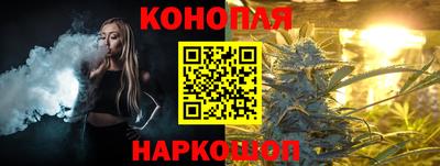 крисы Гусев