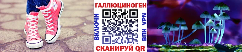 Псилоцибиновые грибы мицелий  Черногорск 