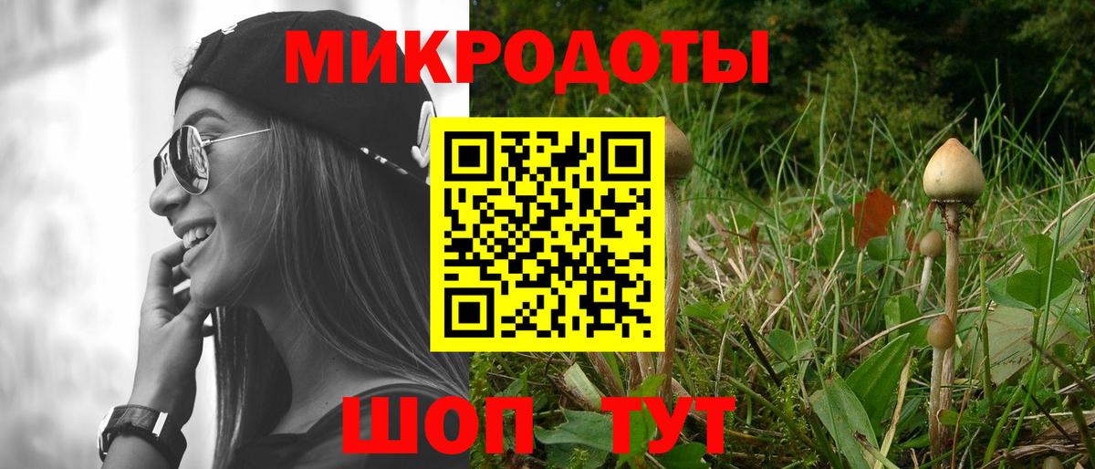 Галлюциногенные грибы MAGIC MUSHROOMS  Вход с VPN  Черногорск 